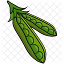 Feijao Cor Verde Icon