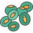 Feijao Mung Vegetal Icon