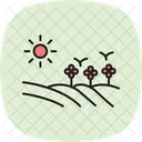Feld Mit Blumen Feld Blumen Symbol