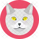 Feline  Icon