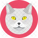 Cat Feline Face Icon