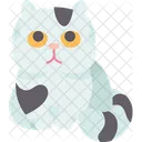Feline Cat  Icon