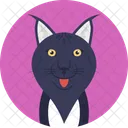 Felino Nero  Icon