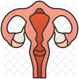 Female  Icon