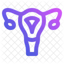 Female Reproductive Uterus Icon