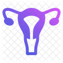 Female Reproductive Uterus Icon