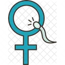 Female Woman Gynecology Icon