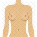 Female Body  Icon