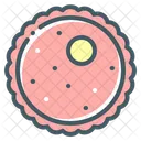 Female Egg Ovum Cell Icon