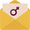 Female Envelope Letter Female Icon