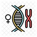 Female Genetic Chromosome Female Icon