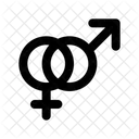Female Male Couple Symbol  Icon