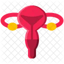 Female Reproductive Icon