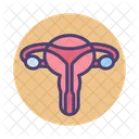 Female Reproductive Icône