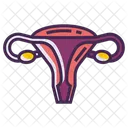 Female Reproductive Icône