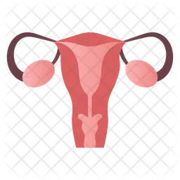 Female Reproductive Organ  Icon