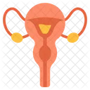 Gynecology Female Womb Icon