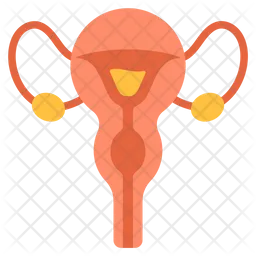 Female Reproductive Organ  Icon