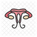 Female Reproductive S  Icon