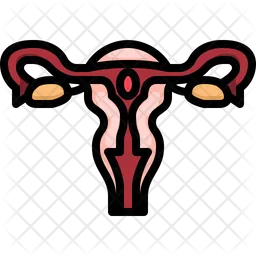 Female Reproductive System  Icon