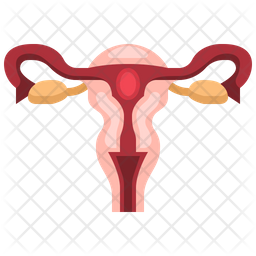 Female Reproductive System Icon