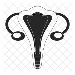 Female reproductive system  Icon