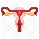 Female Reproductive System Female Reproductive Reproductive System Icône