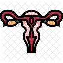 Female Reproductive System Female Reproductive Reproductive System Icône