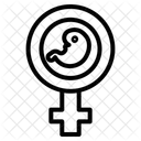 Female symbol  Icon