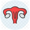 Female Uterus Icon