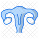 Female Uterus Icône