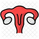Female Uterus Icône