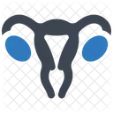 Female Uterus  Icon