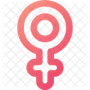 Femea Mulher Mulheres Ícone