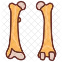 Femur Thigh Bone Upper Leg Icon