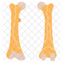 Femur Thigh Bone Upper Leg Icon