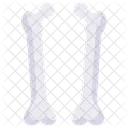 Femur  Icon