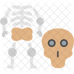 Femur  Icon