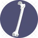 Human Anatomy Femur Bone Icon
