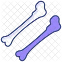 Femur bone  Icon