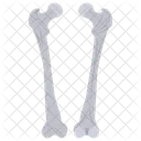 Femur Bones Long Bone Icon