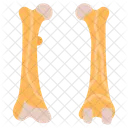 Femur Thigh Bone Upper Leg Icon