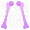 Femur  Icon