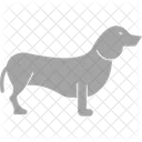 Fennec Fox Fox Monophyletic Icon