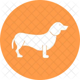 Fennec Fox  Icon