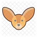 Fennec Fox Fox Red Fox Icon