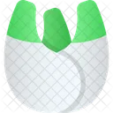 Fennel  Icon