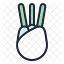 Fennel Vegetable Healthy Icon
