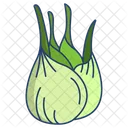 Fennel Herbal Spices Icon