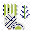 Fennel Icon